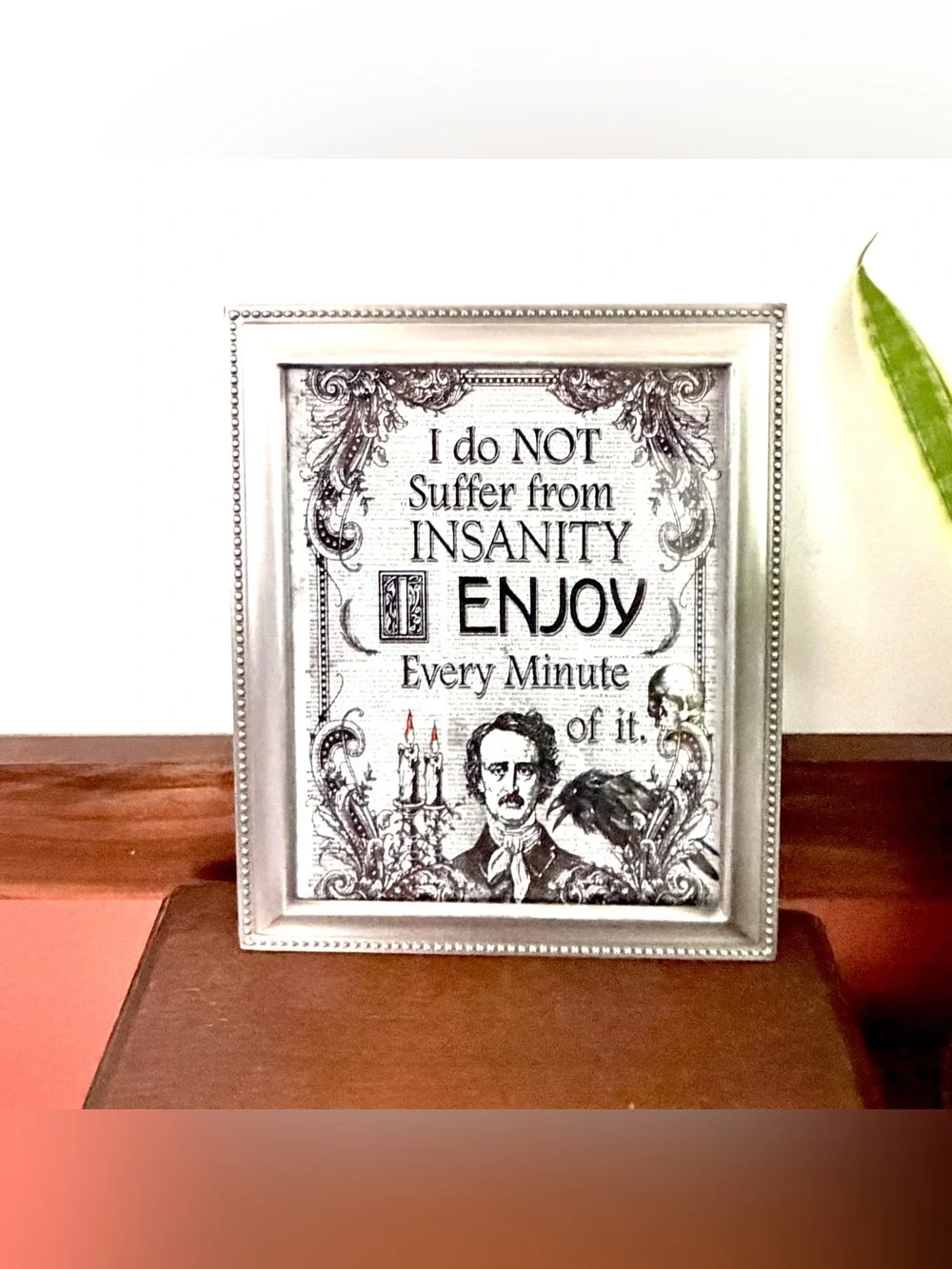 I Do Not Suffer From Insanity, I Enjoy Every Minute of It Edgar Allen Poe Art